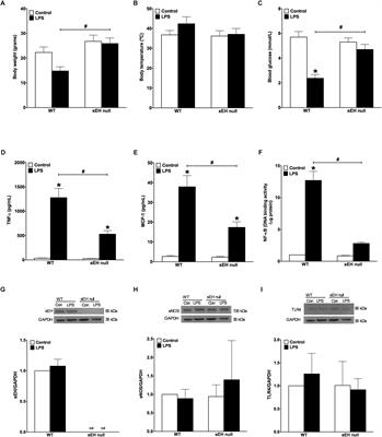 Deficiency of Soluble Epoxide Hydrolase Protects Cardiac Function Impaired by LPS-Induced Acute Inflammation